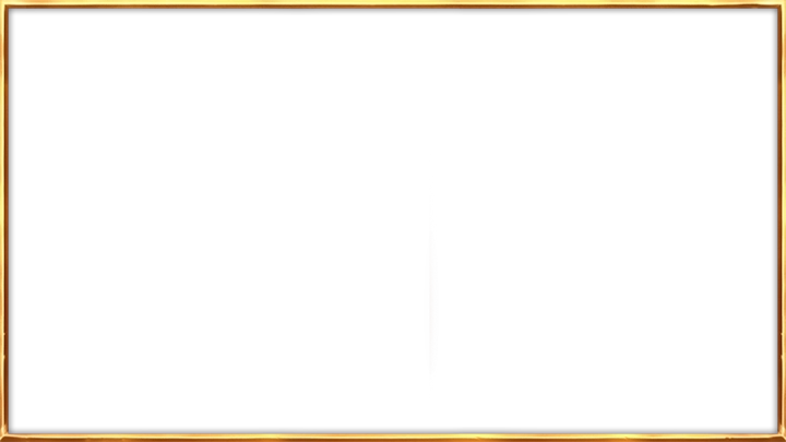 Video frame